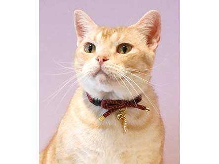 Amoworks 項圈 偷魚貓領結