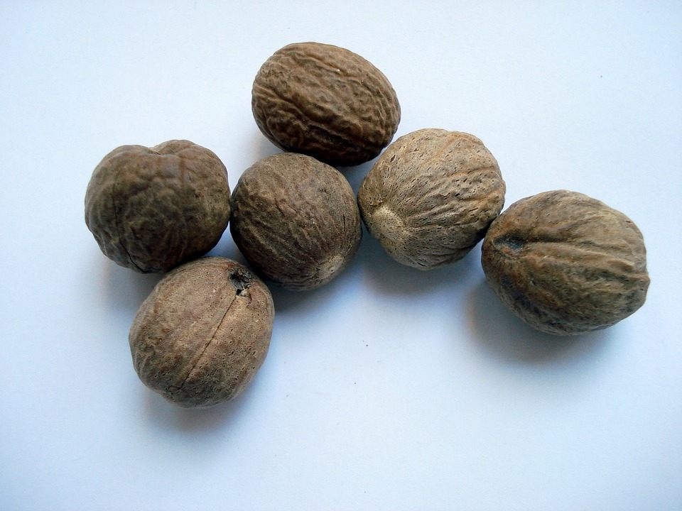 單方精油 | 肉豆蔻 Nutmeg