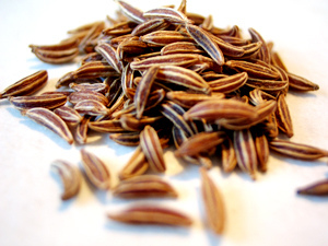 單方精油 | 藏茴香 Caraway