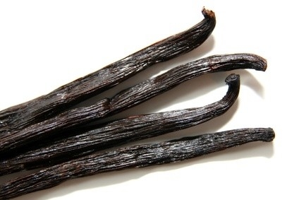 單方精油 | 香草 Vanilleöl Absolue *bio