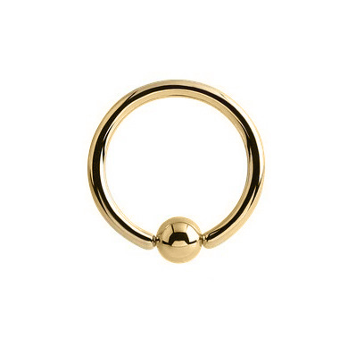 SS316L Gold Plated Surgical Steel Closure Ring