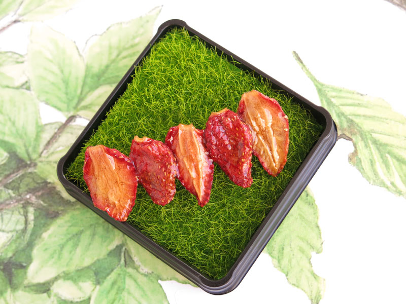 草莓果物-草莓乾胸針-一字款