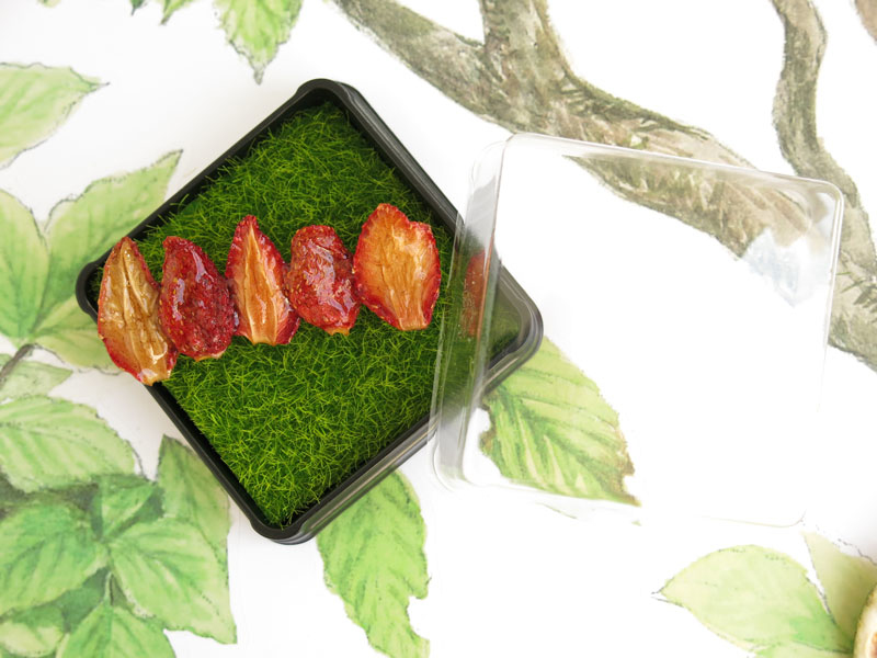 草莓果物-草莓乾胸針-一字款