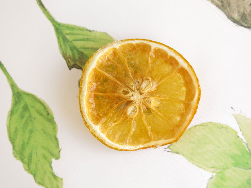 柳橙果物-柳橙乾胸針