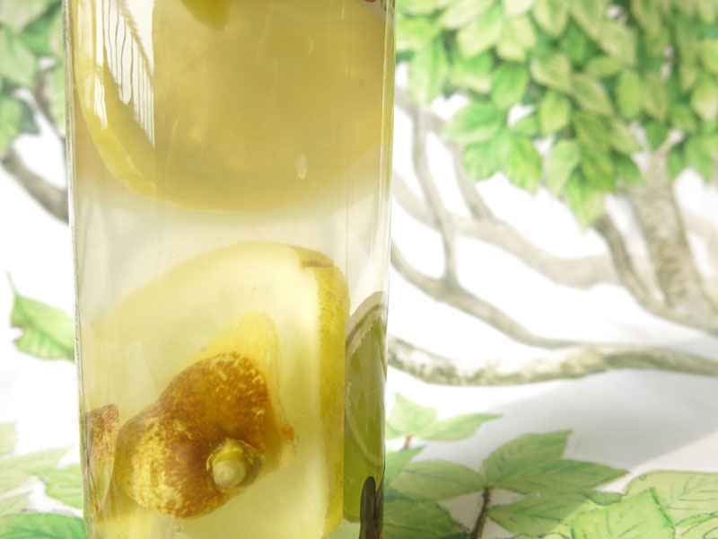 水果乾冷泡飲-蜜香檸檬 (自行沖泡)