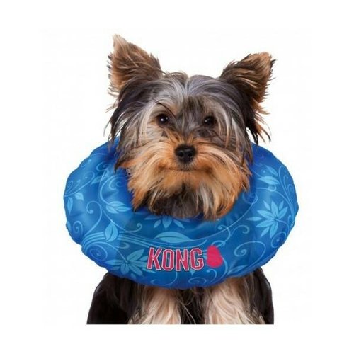 kong dog collar cushion