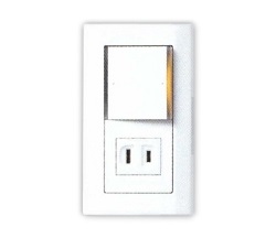 國際牌 DECO LITE一開關單插座 WTDFP4306