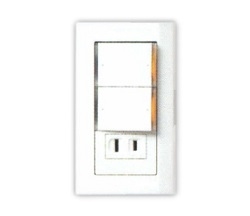國際牌 DECO LITE二開關一插座(110V) WTDFP4336