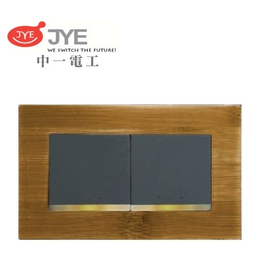 中一 月光系列 竹款雙開關(110V用) JY-M5252-BB