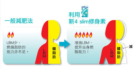 日本版dhc新4 Slim修身素 80粒