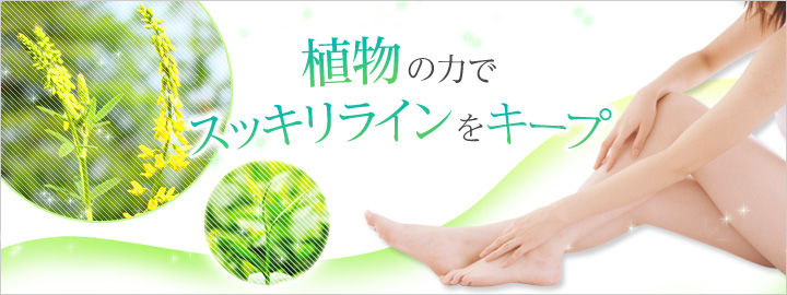 日本版dhc下半身減肥纖體修身丸 40粒