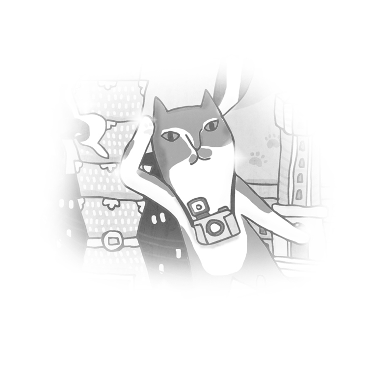 Mix Cats - 米克斯貓 - 明信片 - 台北