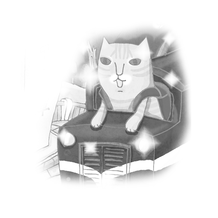 Mix Cats-米克斯貓 - 明信片 - 日月潭