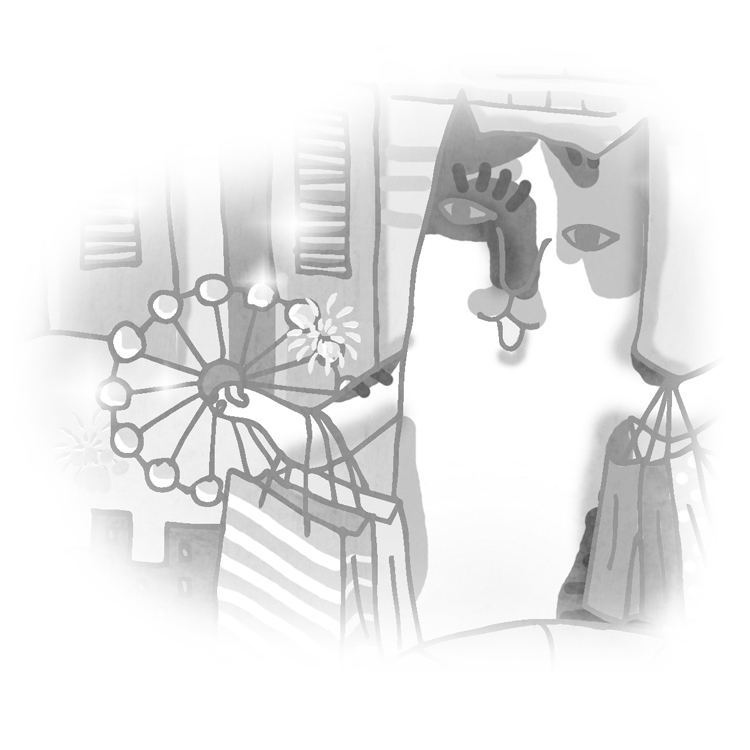 Mix Cats-米克斯貓 - 明信片 - 高雄