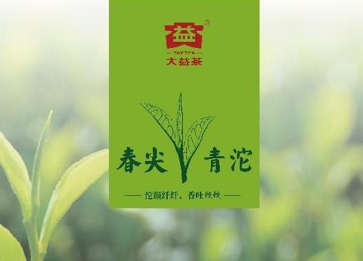 2012年大益普洱生茶春尖青沱201批500克沱茶(250克*2個)