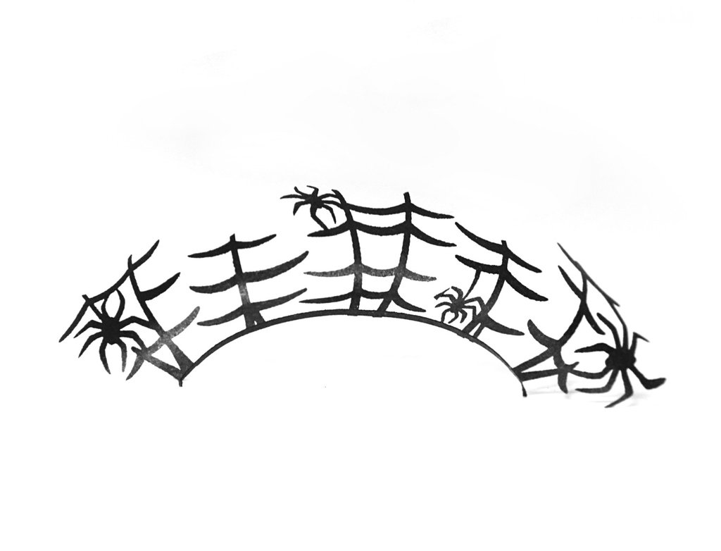 蜘蛛 SPIDER