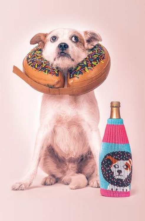 Mister Pete-瓶.壺個性時尚外套