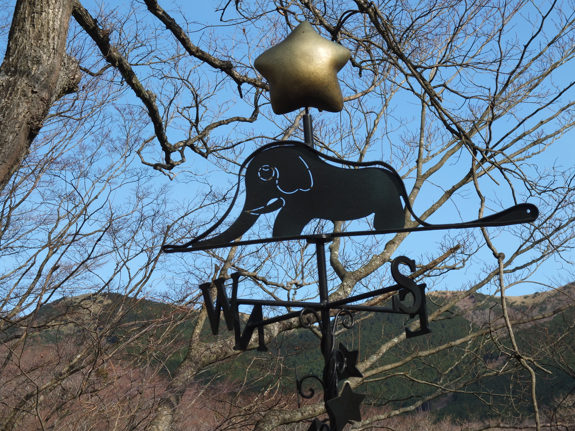 光行創意《展》