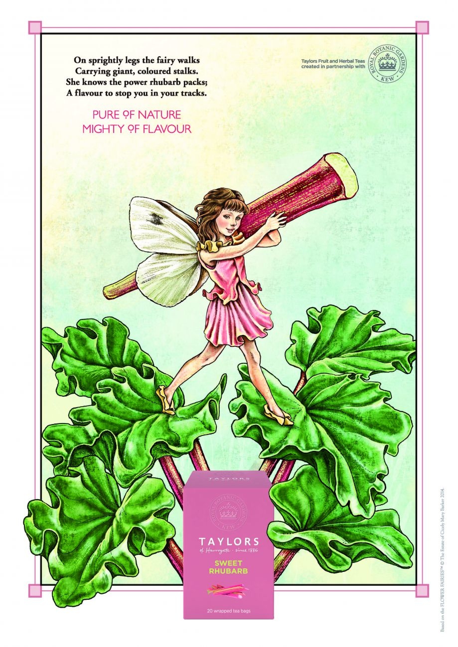 【英國Taylors泰勒茶】玫瑰果大黃茶(無咖啡因)