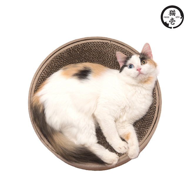 貓壹 抓抓盆