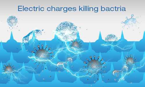 Spear & Armour 思必兒物理性長效抗菌原理