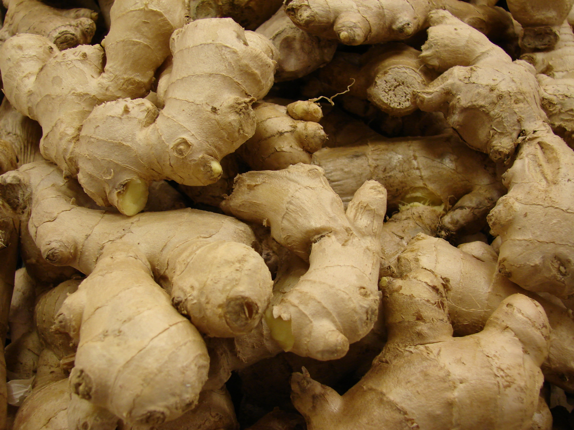 單方精油 | 薑 Ginger *Bio [CO2]