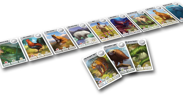 知識線 動物篇 Cardline Animals 繁體中文版