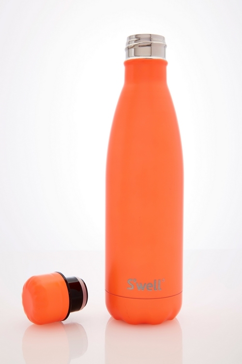 S'well Satin DTM-Birds of paradise 17oz(500ml)