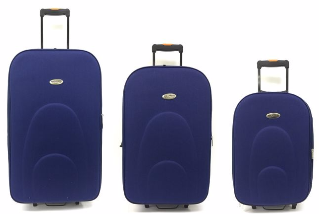 Air express store luggage price