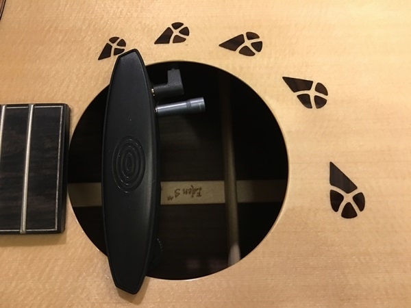 L.Luthier Eden S安裝Schertler AG6木吉他拾音器
