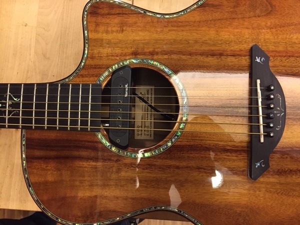 QQX 145C安裝Vertech 9MV三系統拾音器