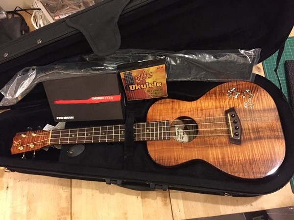 夏威夷Kanile'a HNST-pre安裝Fishman Matrix Infinity 拾音器