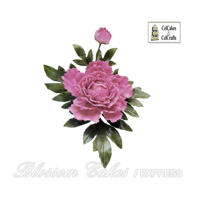 Peony Petals Cutters