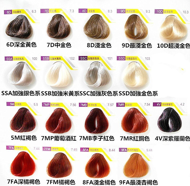 SS專業多色系染髮膏 100g 附雙氧乳【AM016】