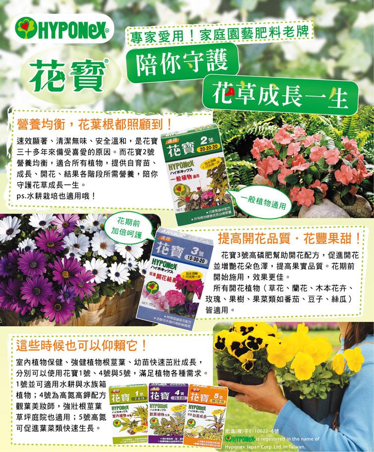 花寶 不同號數 150g 購買肥料