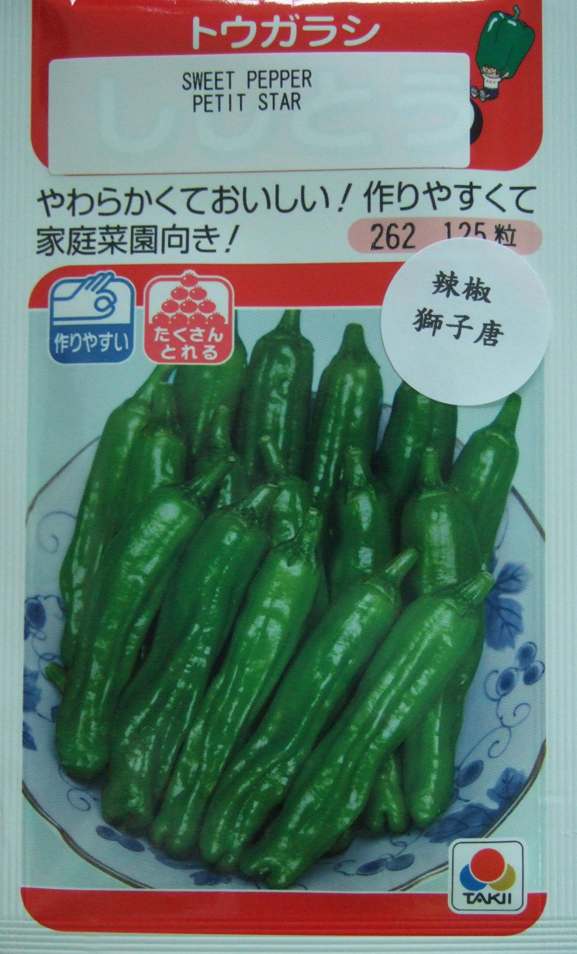 辣椒獅子唐種子