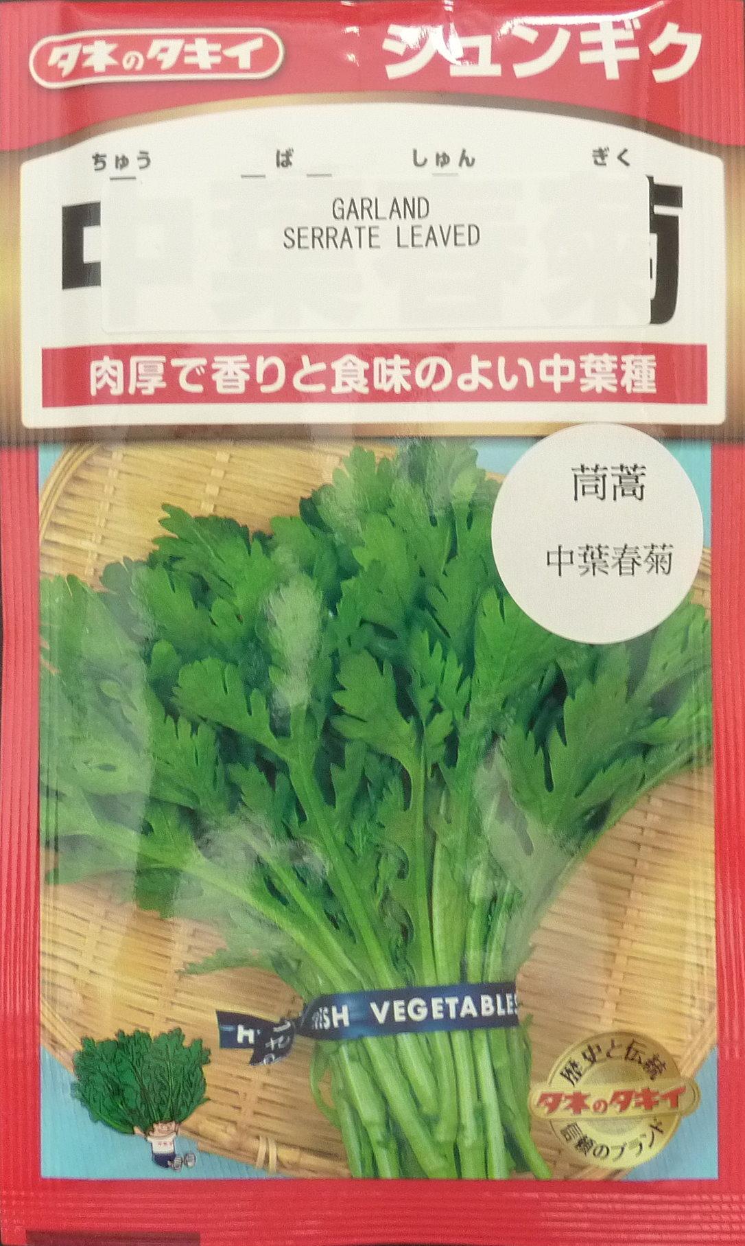 茼蒿中葉春菊種子