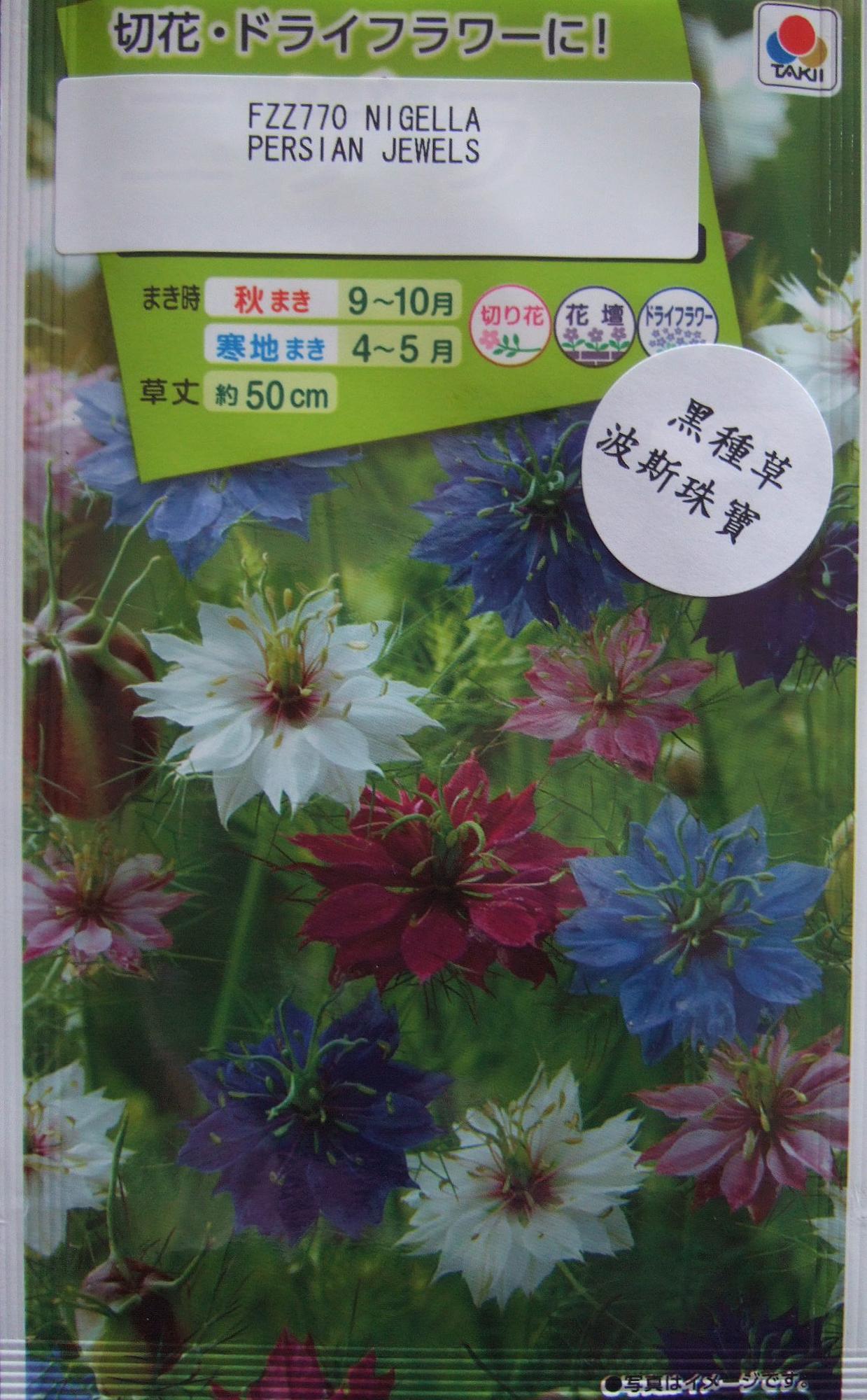 西洋松虫草 切り花用混合 花タネ 春 秋まき メーカー在庫限り品 春