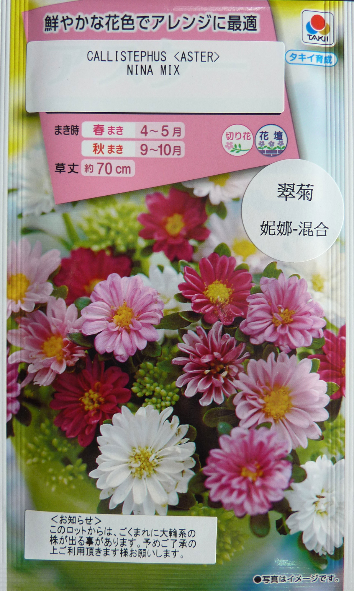 翠菊妮娜 混合種子