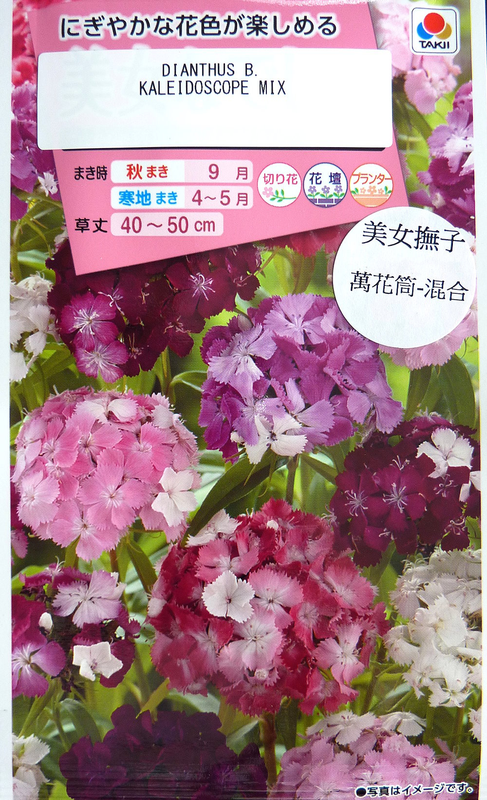 美女撫子萬花筒 混合種子