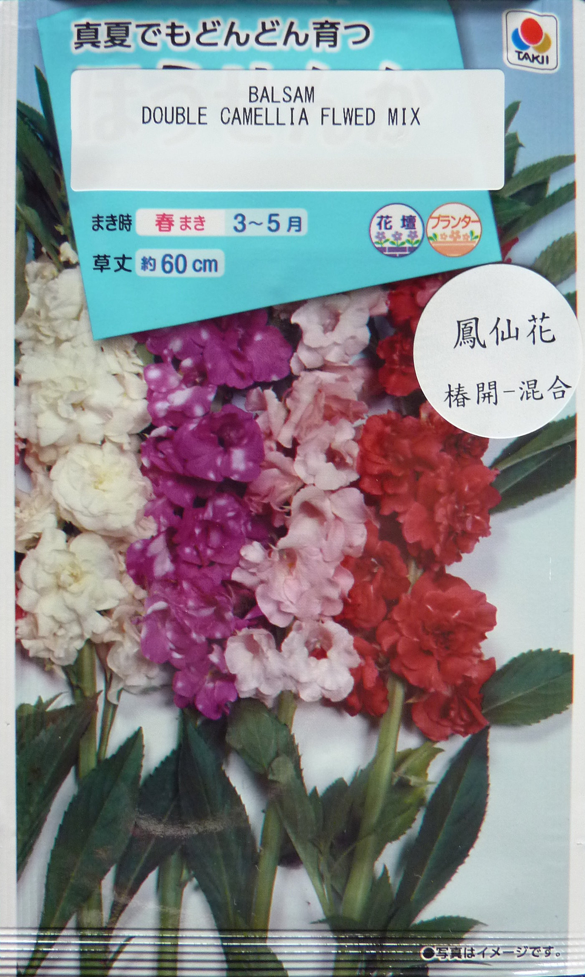 鳳仙花椿開 混合種子