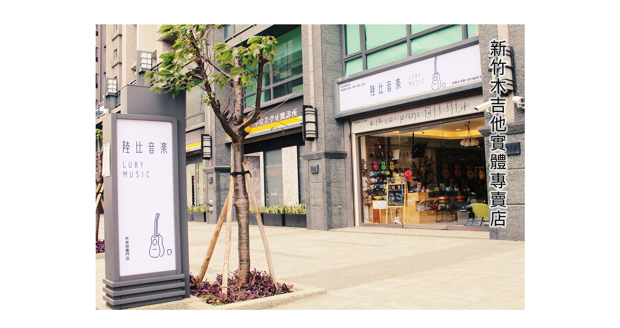 陸比音樂門市形象照、新竹木吉他專門店、新竹木吉他專賣店
