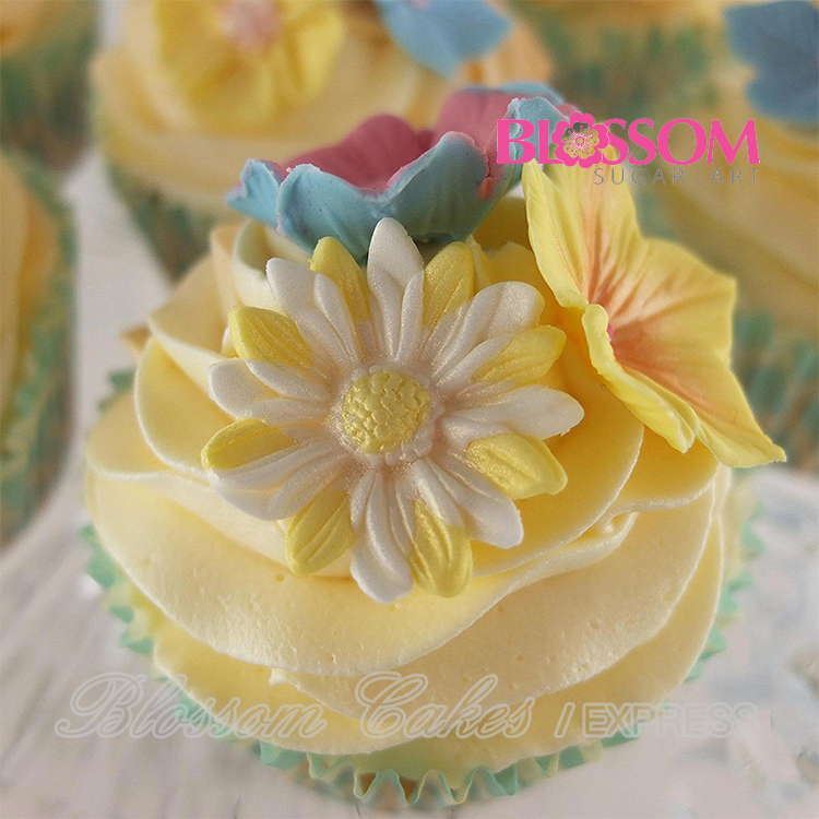 BlossomSugarArt - Daisy Cutter & Mould Set