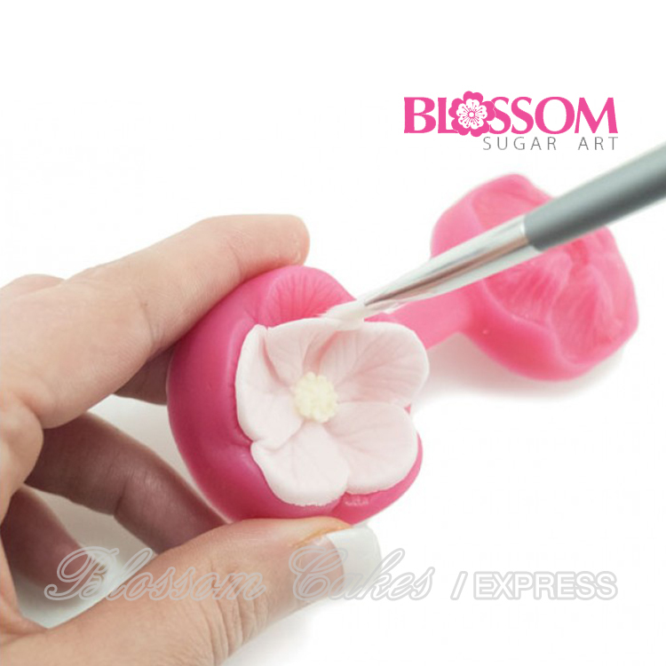 BlossomSugarArt - Fleur Cutter & Mould Set
