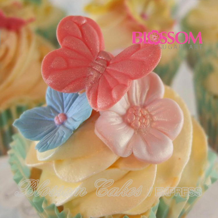 BlossomSugarArt - Butterfly Cutter & Mould Set