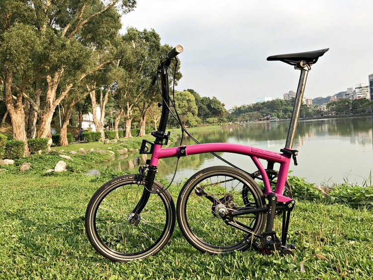 colorplus brompton