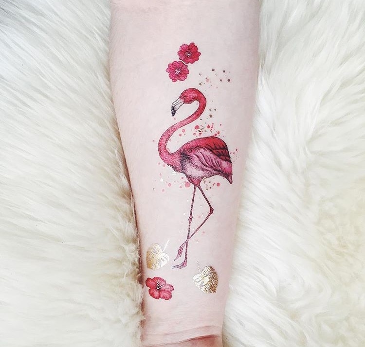 紅鶴 FLAMINGO