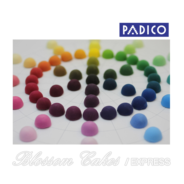 Padico Color Scale Set