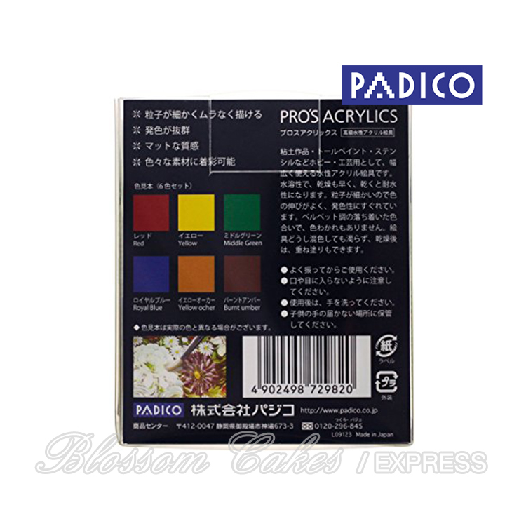 Padico Pro's Acrylics 6 Color Set