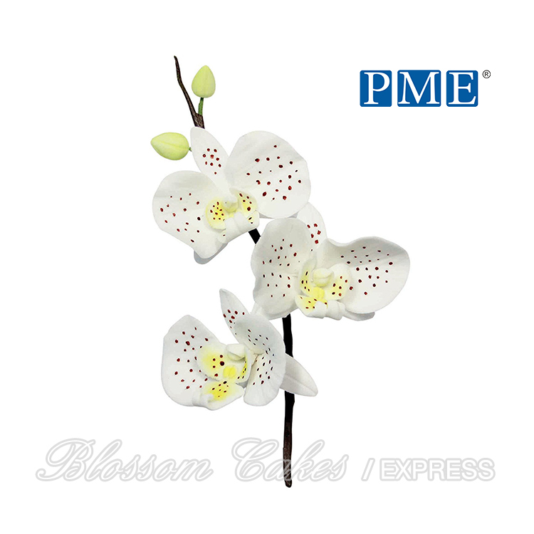 PME Stainless Steel Moth Orchid Petal Cutters, Set of 3